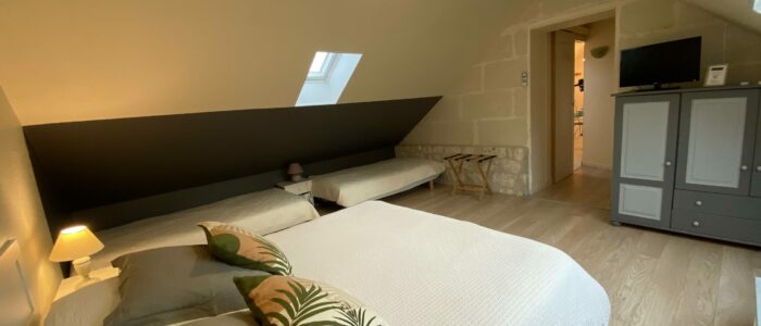 chambre d'hotes proche du zoo de Beauval