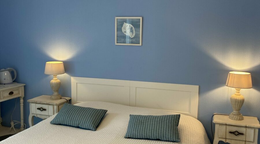 chambre_jade_les_mariniers_proche_zoo_de_Beauval