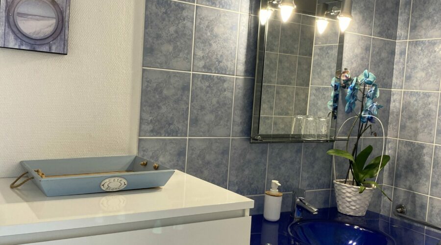 chambre_jade_les_mariniers_proche_zoo_de_Beauval